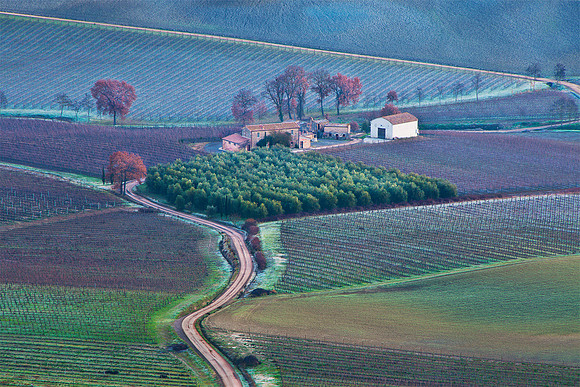 montalcino morning landscapes 4324 13x19.5 print ton proof copy